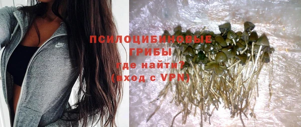 не бодяженный Аркадак