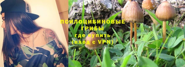 не бодяженный Аркадак