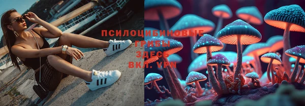 не бодяженный Аркадак
