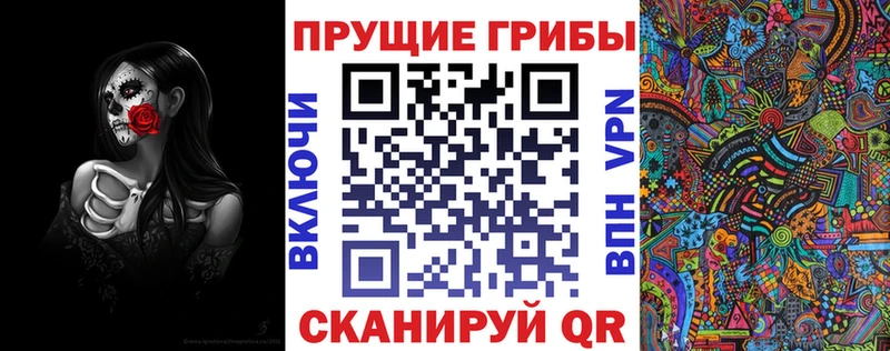 где продают   Гурьевск  Псилоцибиновые грибы Cubensis 