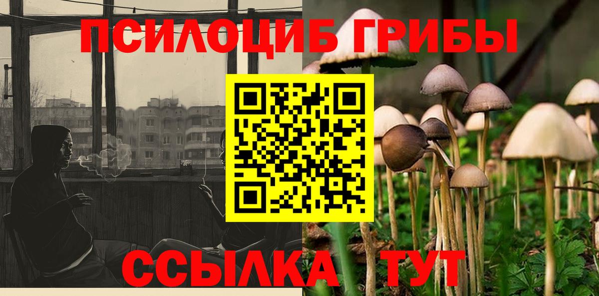 Псилоцибиновые грибы MAGIC MUSHROOMS Гурьевск