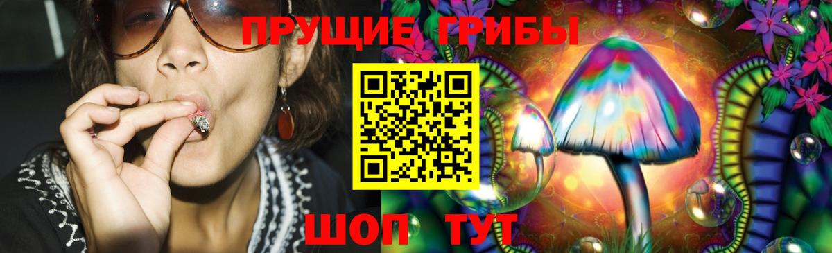 Гурьевск  Псилоцибиновые грибы ЛСД  Вход с VPN 