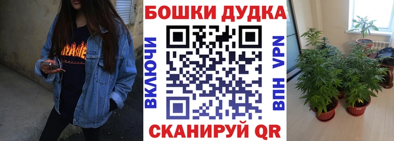 наркошоп  Гурьевск  Конопля White Widow 
